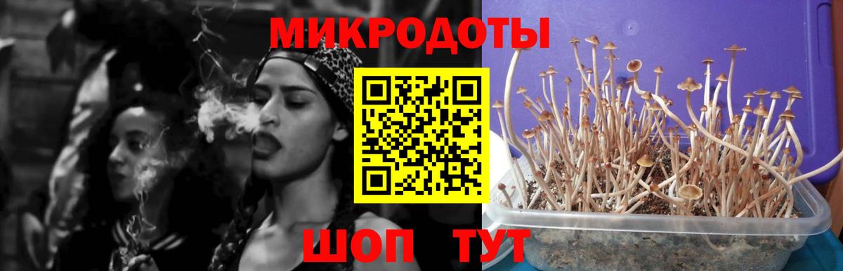 ГАШ  Мурманск  COCAIN  Вход с VPN  МЕФ   Марихуана 
